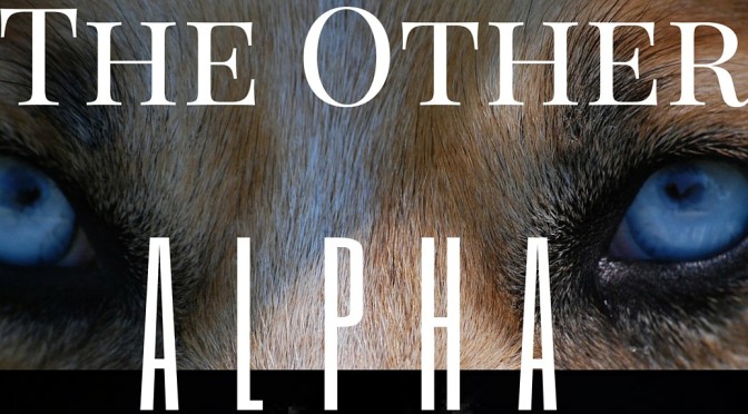 Week Eighteen – The Other Alpha